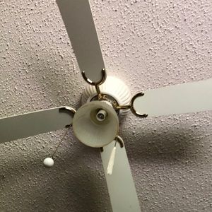 Meet your Posher, Ann